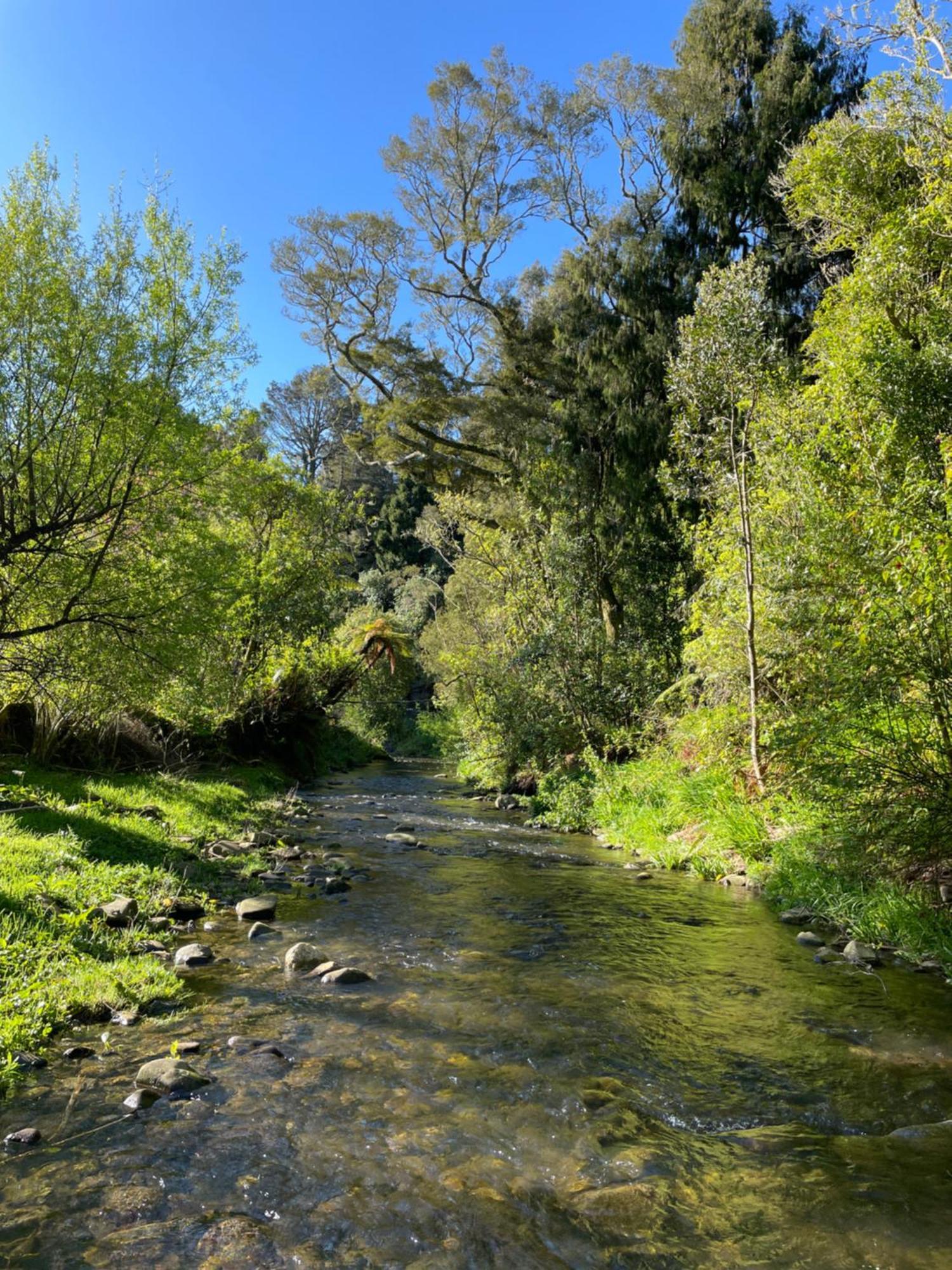 River Song Retreat Golden Bay Takaka Exterior photo